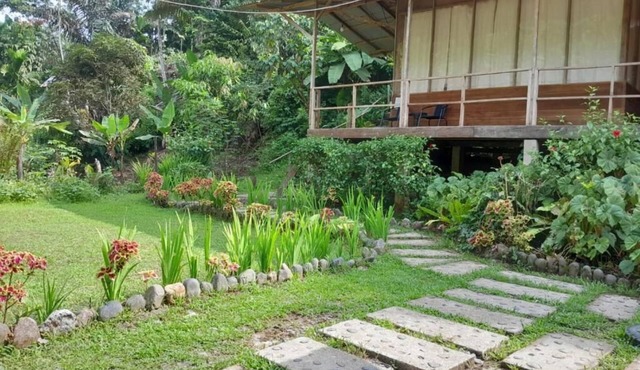Bua Guest House Tangkahan