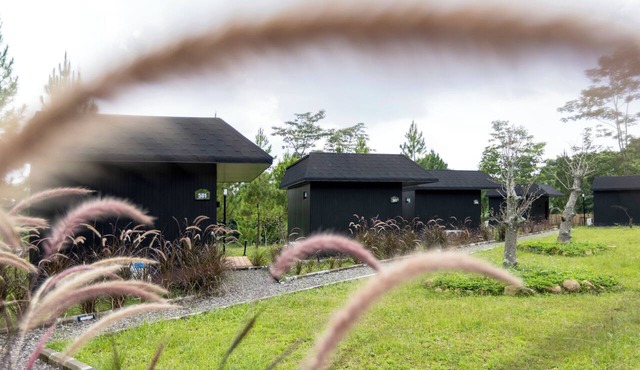 Cabin ARTOTEL Pelangi Park