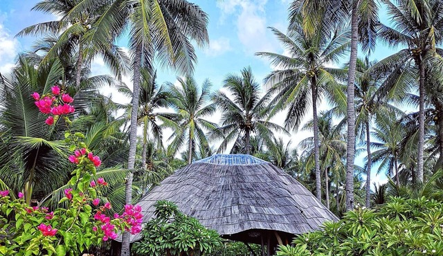 Coconut Garden Beach Resort in Maumere