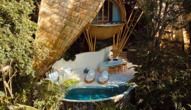 Cocoon Reserve
