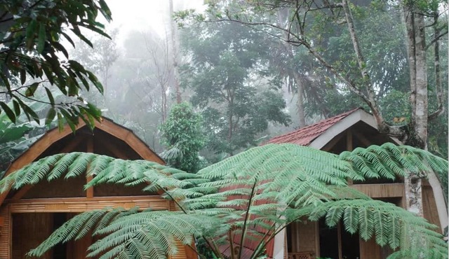 Coffee Homestay Tetebatu in Tetebatu