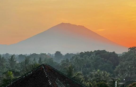 Dr Philo Art Villa Sawah in Ubud
