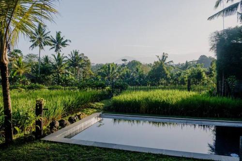 Dukuh Ubud Villa #4 Ricefield View in Payangan