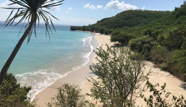Ekas Surf Resort, Wellness Centre & Retreats in Ekas