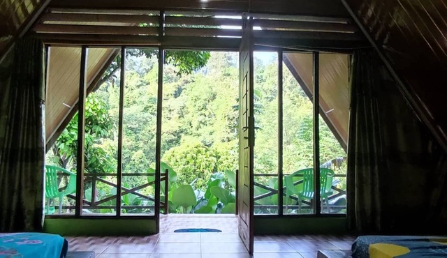 Green Forest Tangkahan