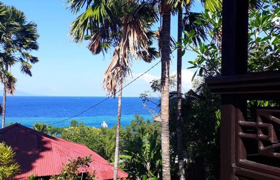 Happy Gecko Dive Resort in Bunaken