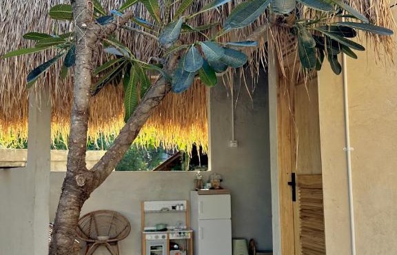 Jepun Hill Studios & Amed Jepun Divers