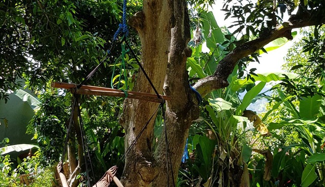 Mango Tree Inn in Pemuteran
