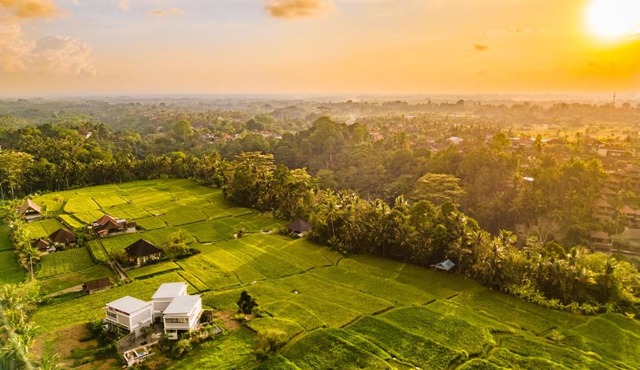 Maple Ridge Ubud Villas - Private Pool & Rice Field View in Ubud