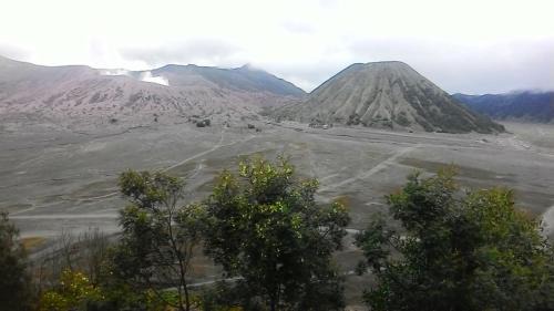 Mentigen homestay in Ngadisari