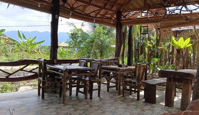 PaddyPalms Huts Trekking & Beyond in Bukit Lawang
