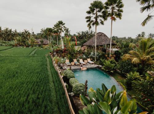 Padi Bali Retreat in Payangan