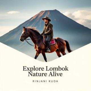 Rinjani Horse Riding BaseCamp in Masbagik
