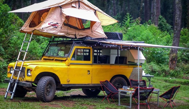 seleb camp adventure