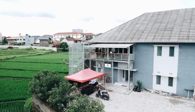 Sepohon Kost in Sayang