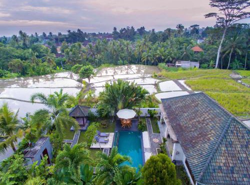 Sunset Rice Field View 2BR Villa Ubud