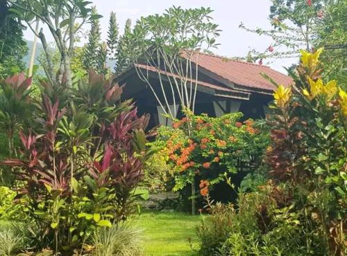 Thousand hills peaceful bungalows and expert jungle treks