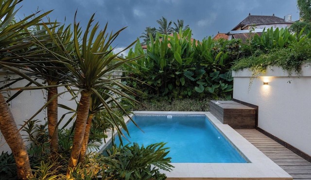 Tranquil 2BR Ubud Villa | Pool and Rice Field View