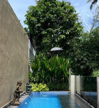 Ubud Cozy Stay in Ubud