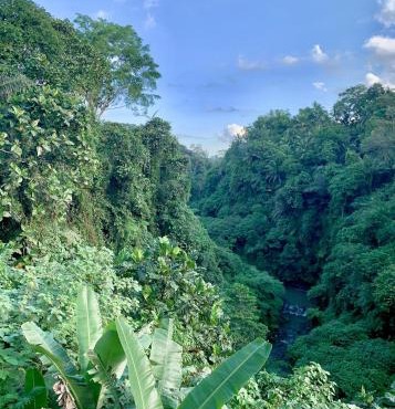 Ubud Jungle River
