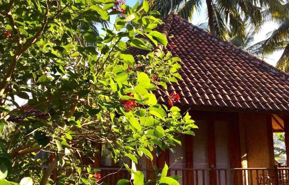Villa Jati Mangsit in Senggigi