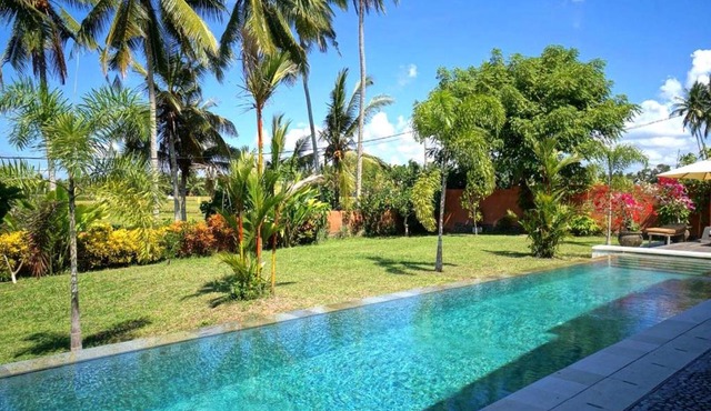 Villa Taman Kanti - 2 Bedroom private villa with swimming pool in Ubud