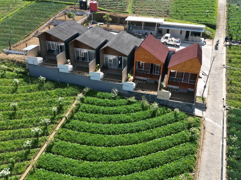 Hargomulyo Villa | Lawu View Glamping