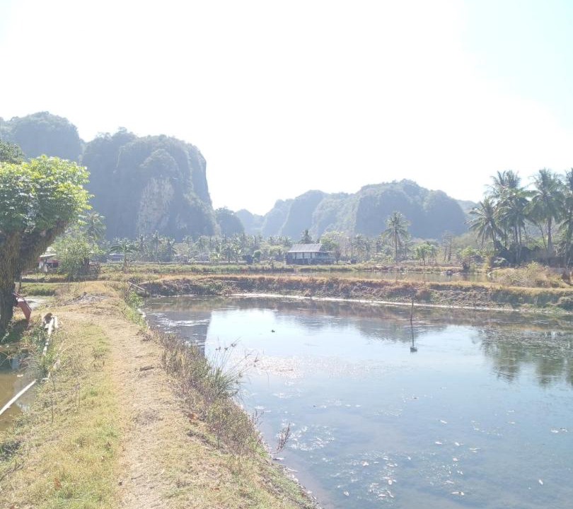 Bantimurung House | Jufri Homestay