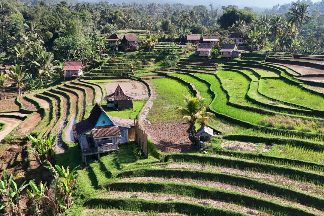 Wongaya Gede House | D'Ume Bendoel Homestay