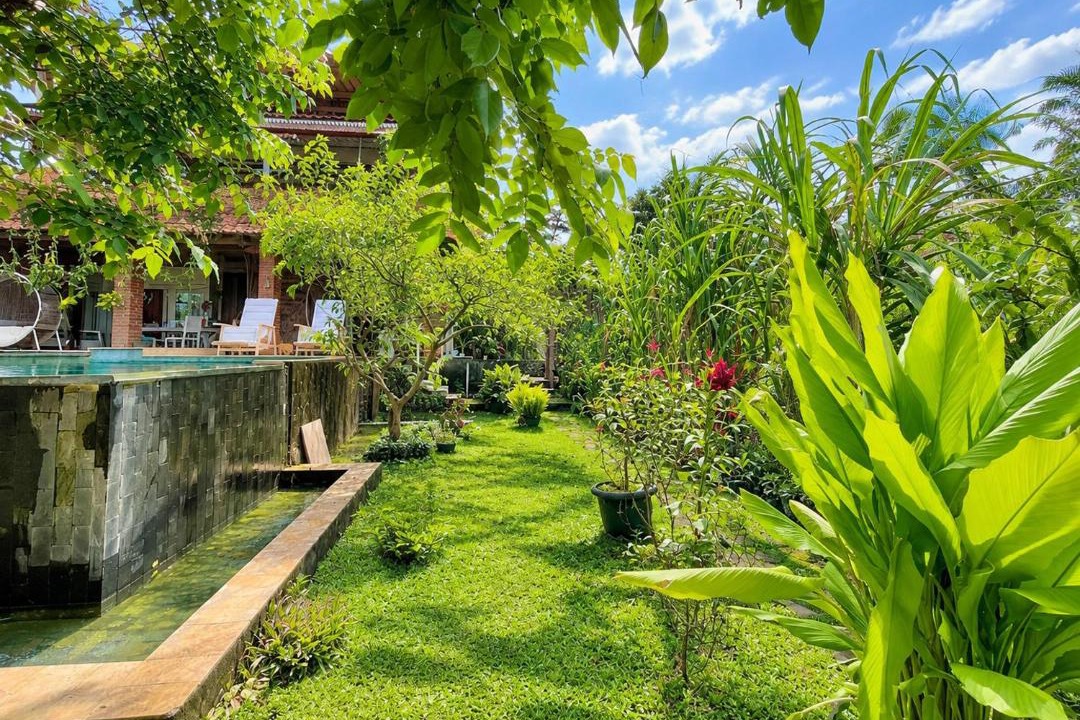 Banyuwangi House | Pondok Is Oke bambo infinity pool