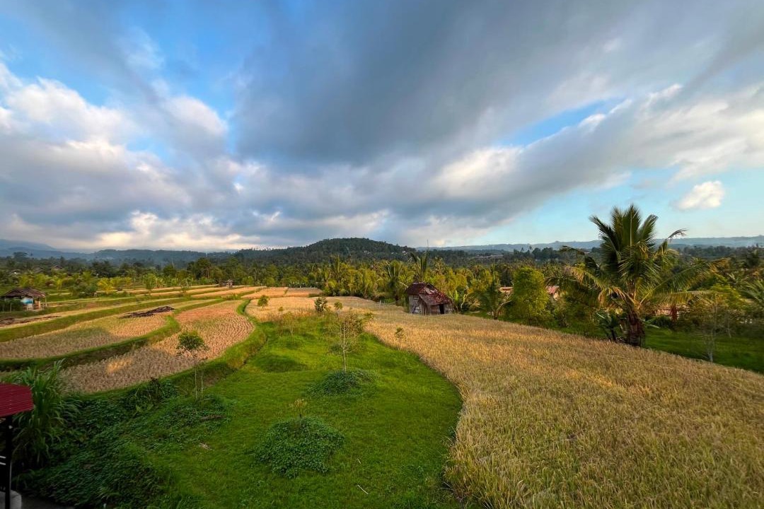 Gobleg Bed & Breakfast | Bali Harmoni