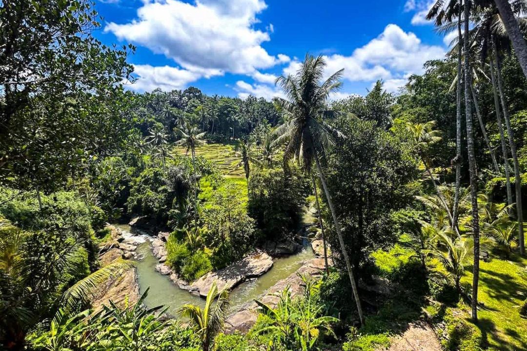 Nyuh Kuning House | Ubud Riverside Villa