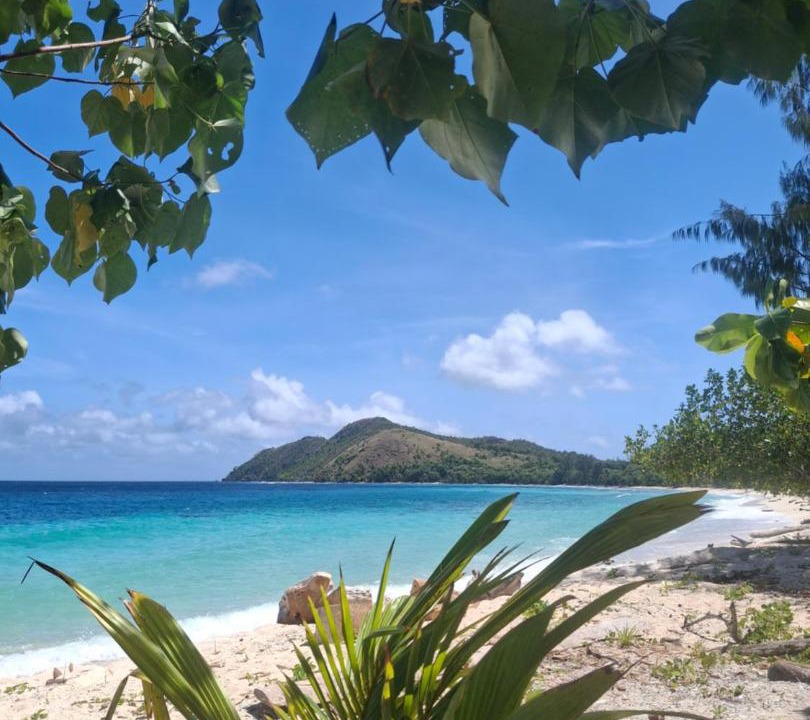Pianemo Islands House | Gloria Dive Homestay