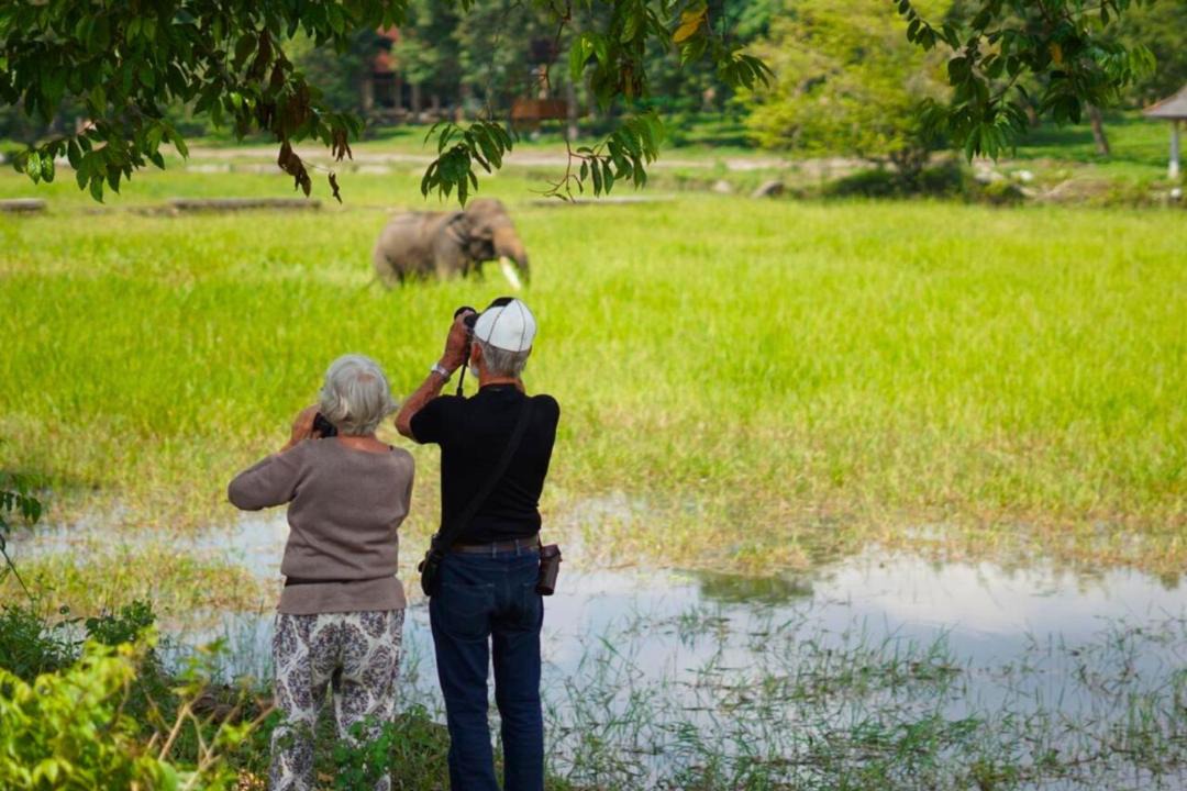 Labuhan Ratu Cabin | Satwa Elephant Ecolodge