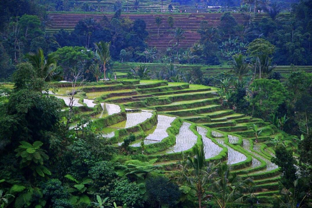 Denpasar Timur Villa | Private Poo A SUPPRIMER