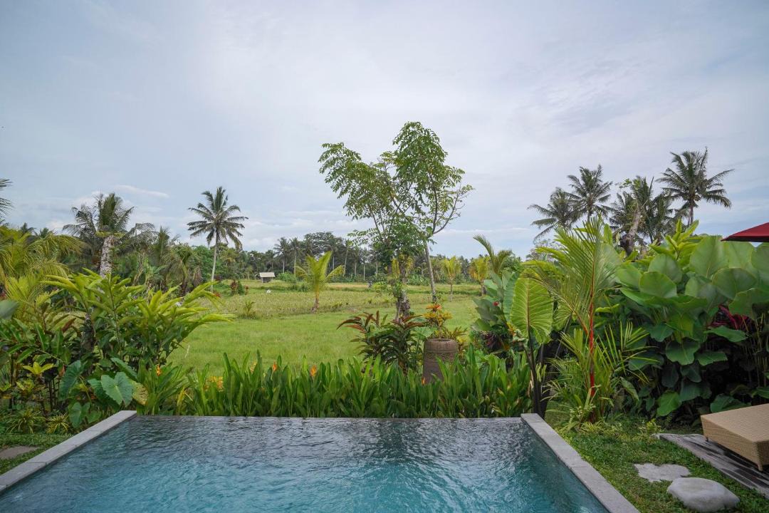Peliatan Villa | Denaya Ubud Villa