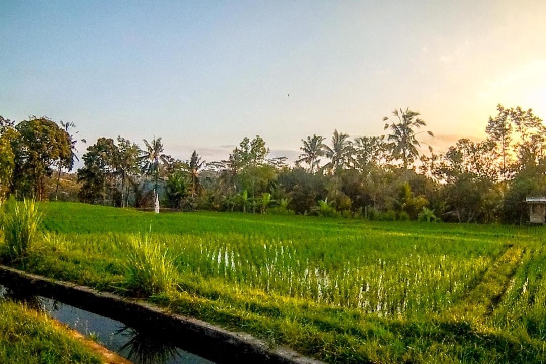 Kedewatan Villa | Ubud Paradise Villa
