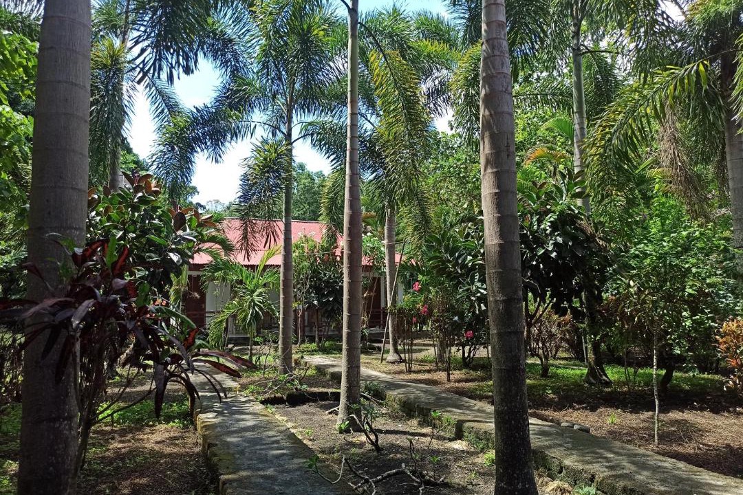 Marinsow House | Tangkoko Jungle Homestay