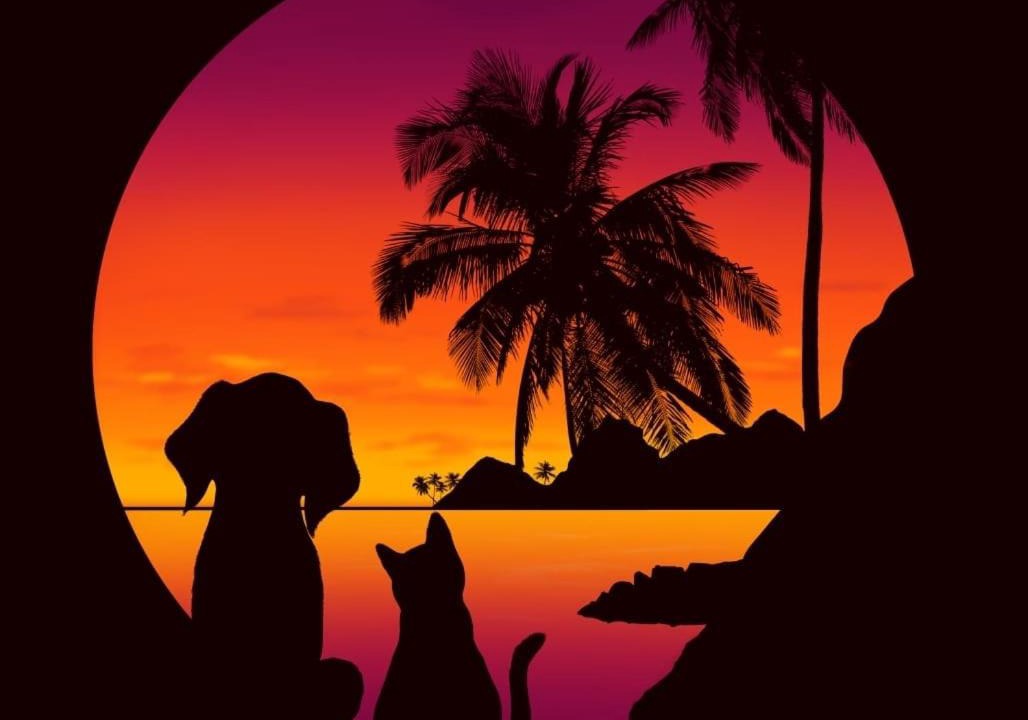 Bawomataluo Hostel | Salty Dog Hostel