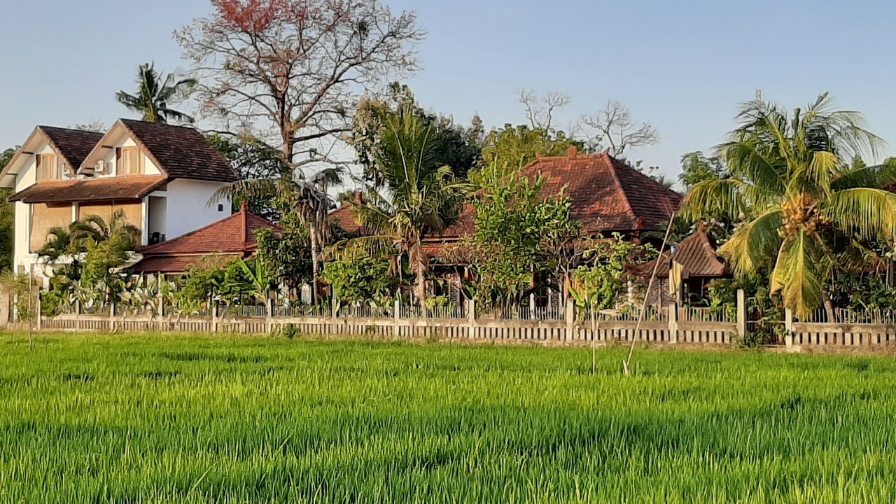 Photo of Outdoor in Anturan