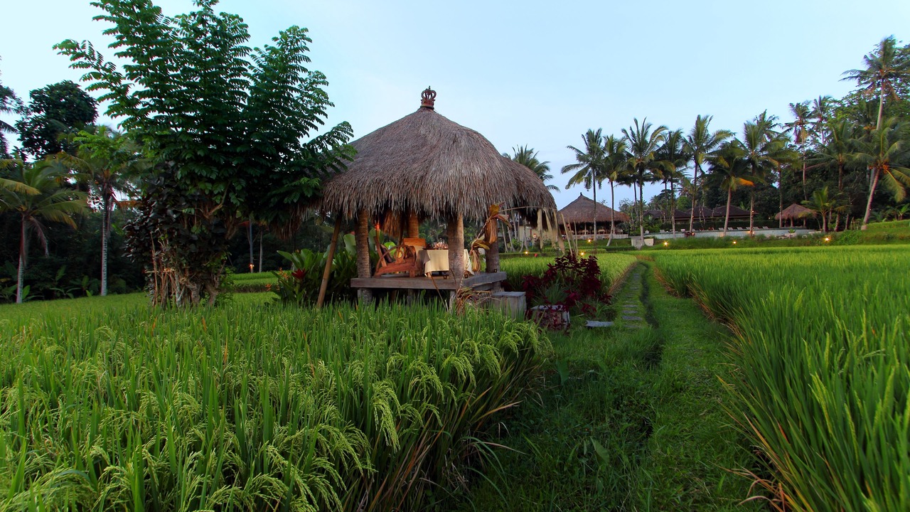 Photo of Outdoor in Kedewatan