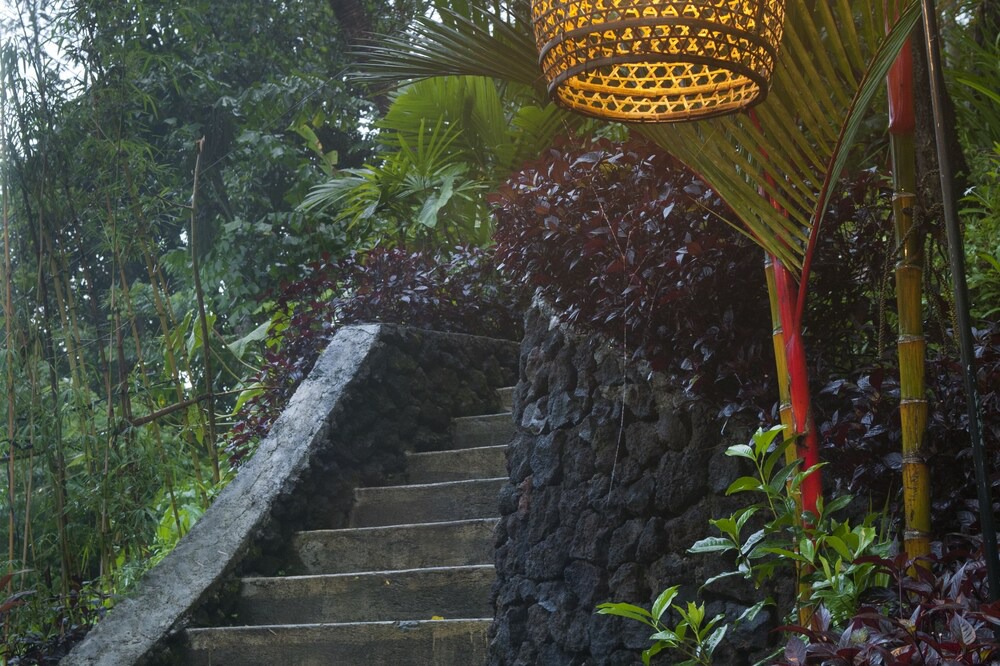 Photo of Outdoor in Tegallalang
