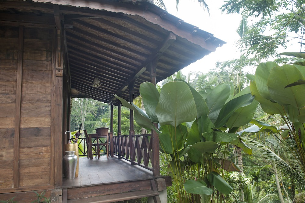 Photo of Outdoor in Tegallalang
