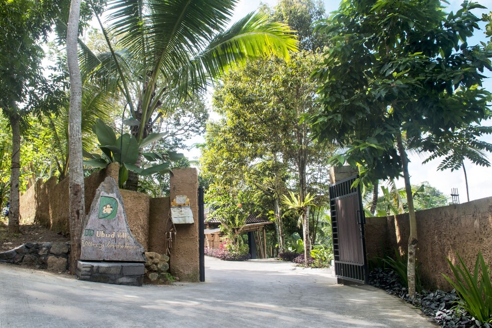 Photo of Outdoor in Tegallalang