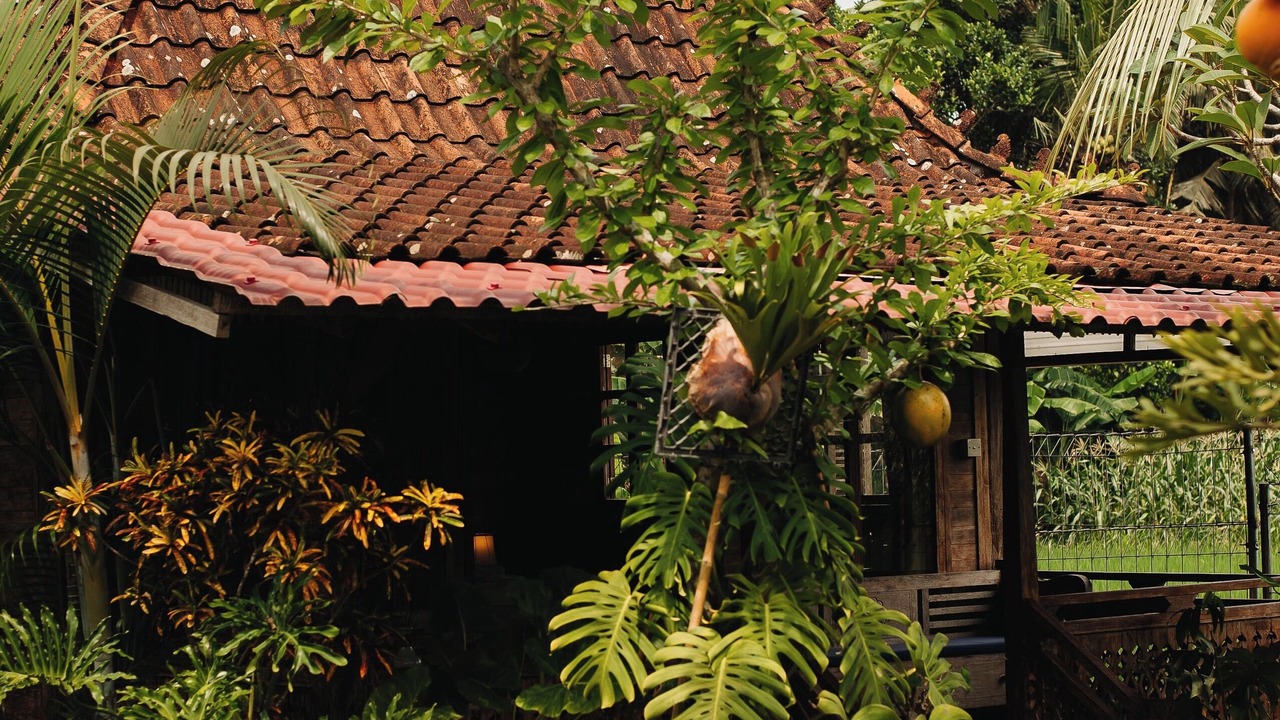 Photo of Outdoor in Abiansemal