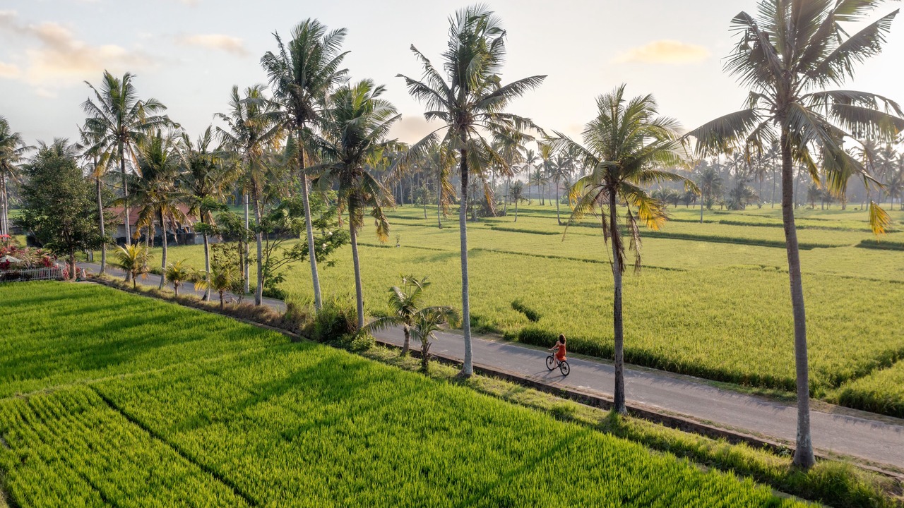 Photo of Outdoor in Kemenuh