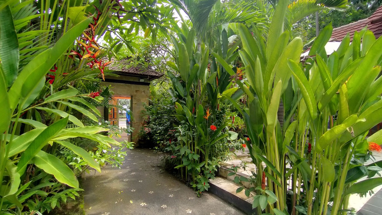 Photo of Outdoor in Bukti