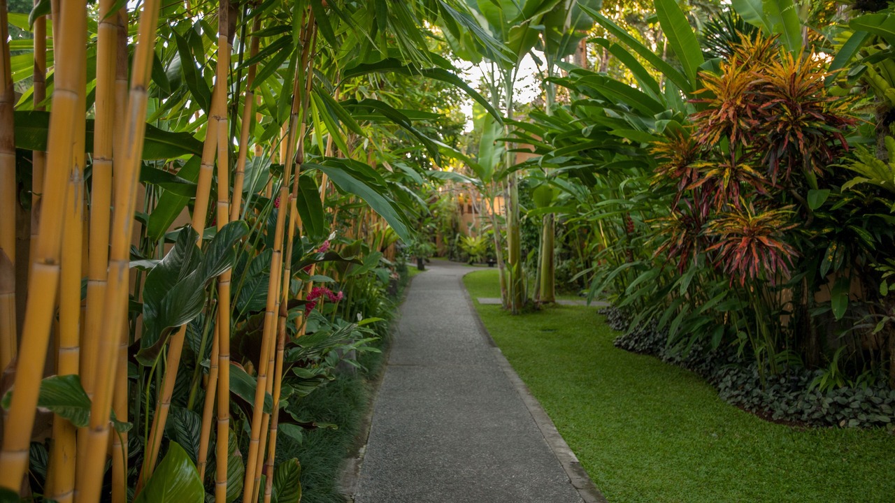 Photo of Outdoor in Ubud City-Centre