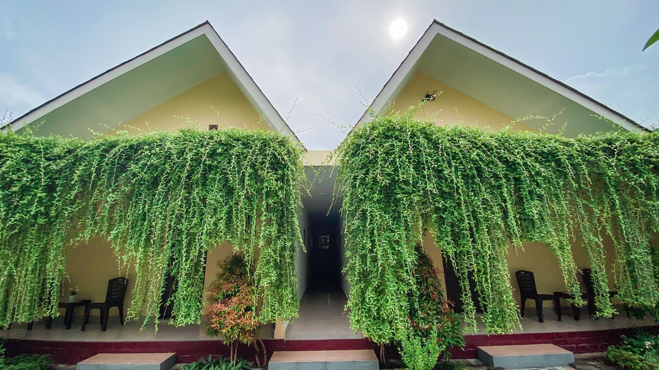 Photo of Outdoor in Sampalan