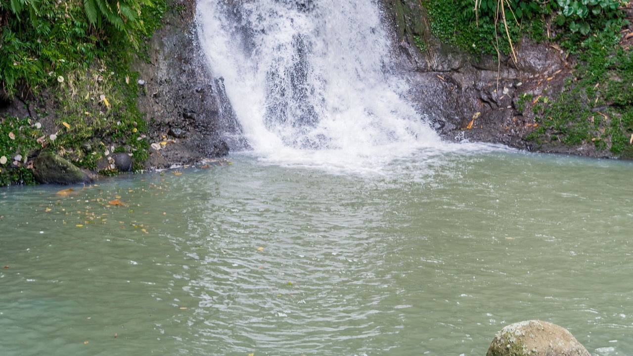 Photo of Outdoor in East Selemadeg